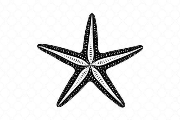 Starfish SVG, Starfish Silhouette, 011 — Graphics for Crafts